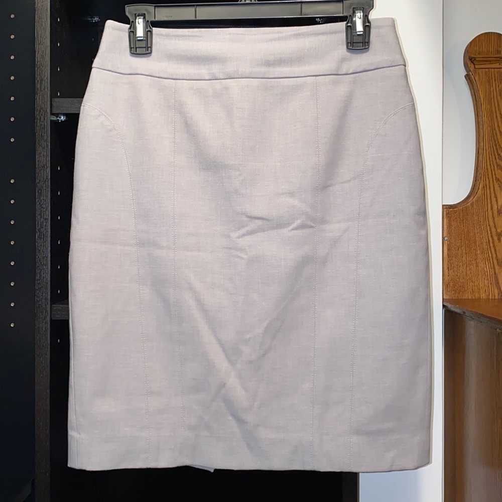 EXPRESS Skirt